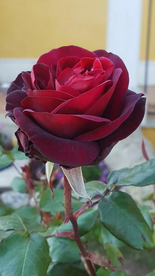 Le Rose Di Modica Villa Exterior photo